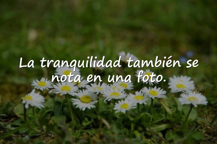 Imágenes frases para fotos de whatsapp - 6