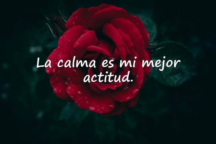 Imágenes frases para fotos de whatsapp - 2