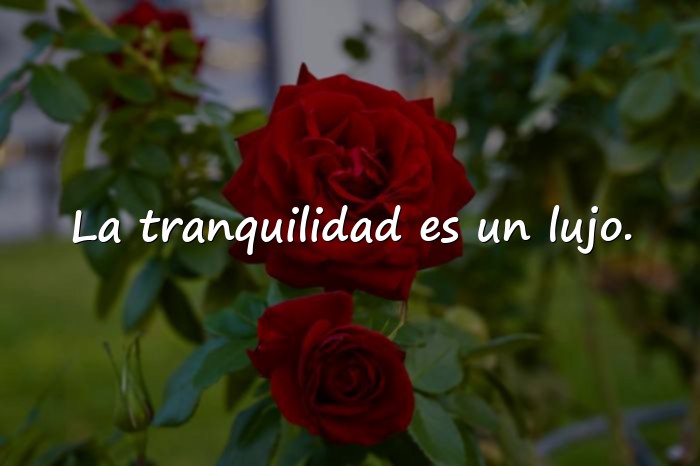 Imágenes frases para fotos de whatsapp - 10