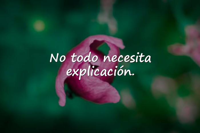 Imágenes frases para fotos de whatsapp - 8