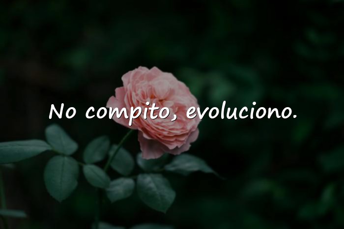 Imágenes frases para fotos de whatsapp - 5