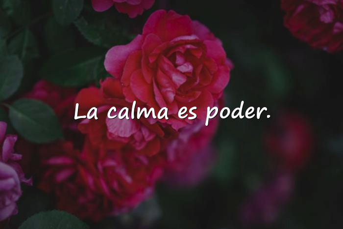 Imágenes frases para fotos de whatsapp - 2