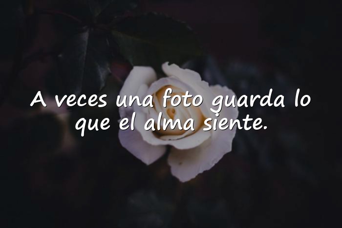 Imágenes frases para fotos instagram - 11