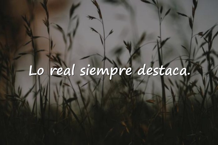 Imágenes frases para fotos instagram - 22