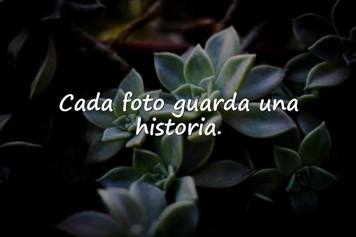 Imágenes frases para fotos instagram - 17