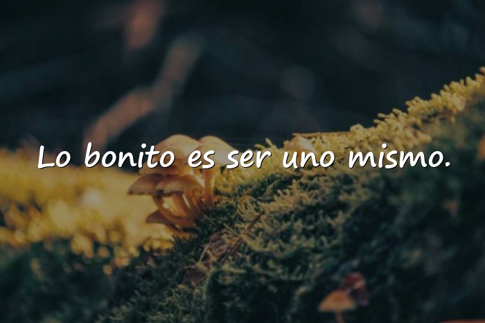 Imágenes frases para fotos instagram - 14