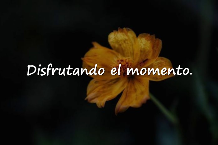 Imágenes frases para fotos mías cortas - 6