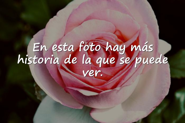 Imágenes frases para fotos mías cortas - 16