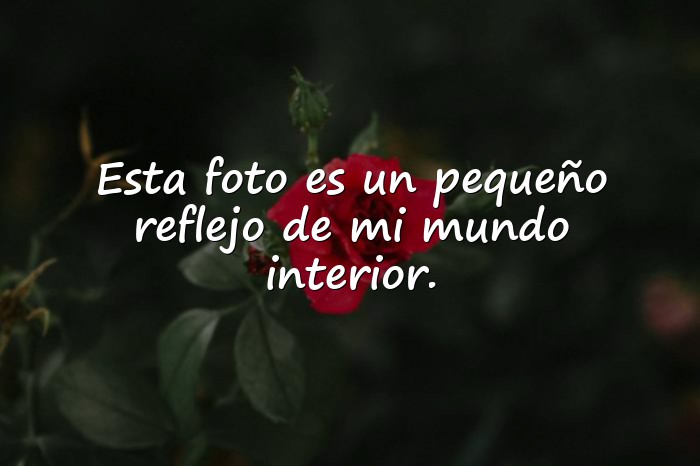 Imágenes frases para fotos mías cortas - 6
