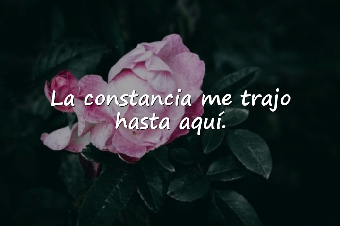 Imágenes frases para graduados - 13