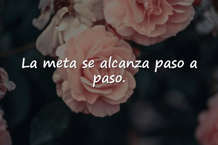 Imágenes frases para graduados - 23