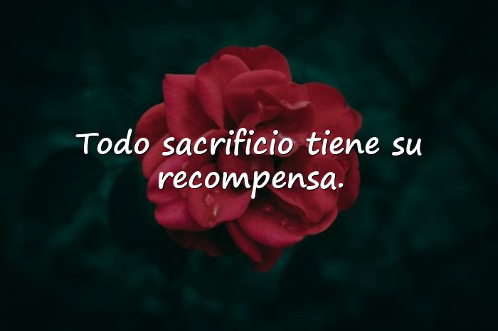 Imágenes frases para graduados - 19