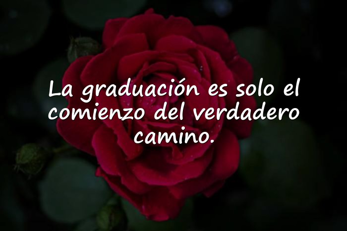Imágenes frases para graduados - 1