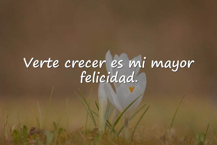 Imágenes frases para hijos varones - 13