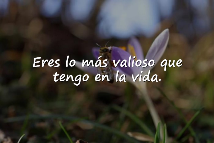 Imágenes frases para hijos varones - 3
