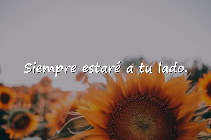 Imágenes frases para hijos varones - 17