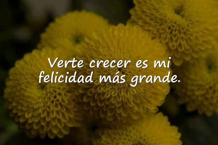 Imágenes frases para hijos varones - 8