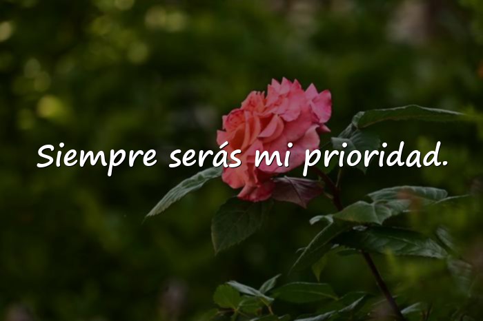 Imágenes frases para hijos varones - 6