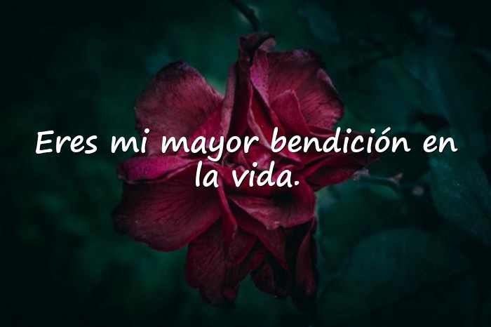 Imágenes frases para hijos varones - 1