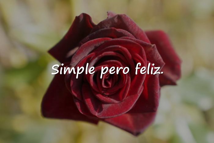 Imágenes frases para ig - 5