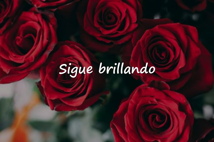 Imágenes frases para ig - 1