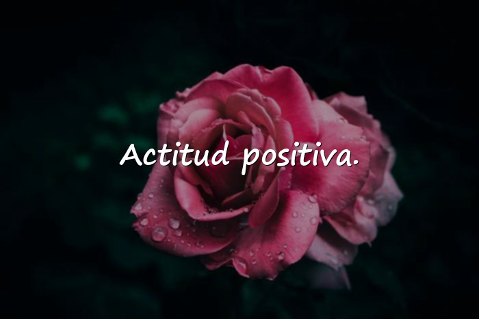 Imágenes frases para info de whatsapp - 14