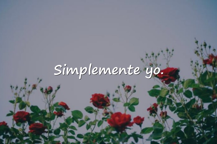 Imágenes frases para info de whatsapp - 12