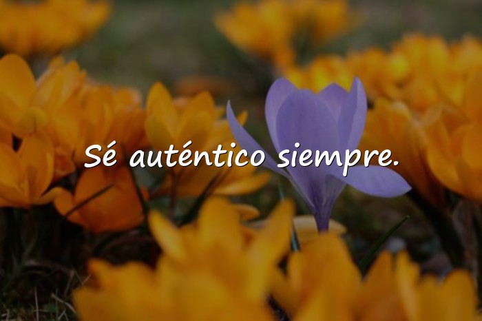 Imágenes frases para info de whatsapp - 5