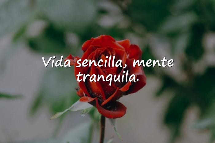 Imágenes frases para info de whatsapp - 3
