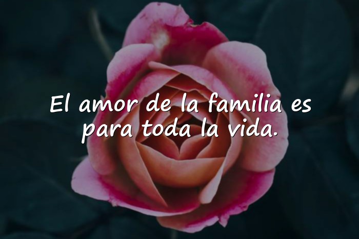 Imágenes frases para la familia - 18
