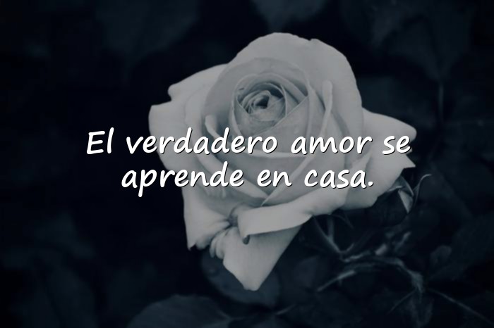 Imágenes frases para la familia - 13