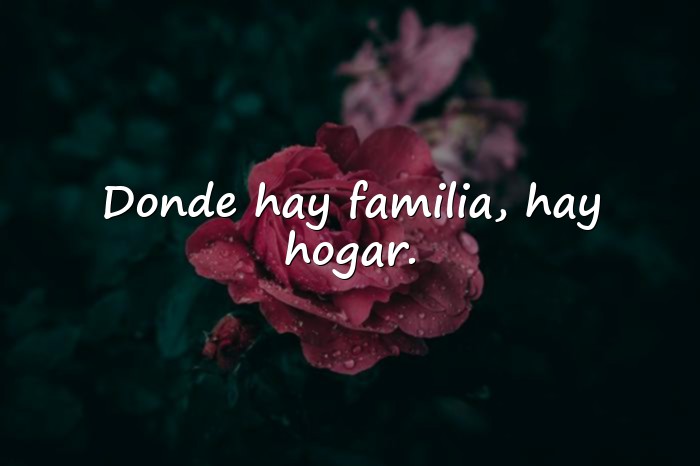 Imágenes frases para la familia - 8