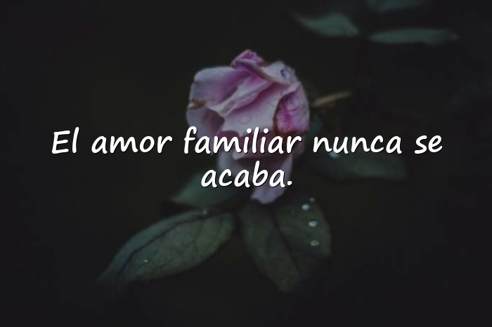 Imágenes frases para la familia - 3