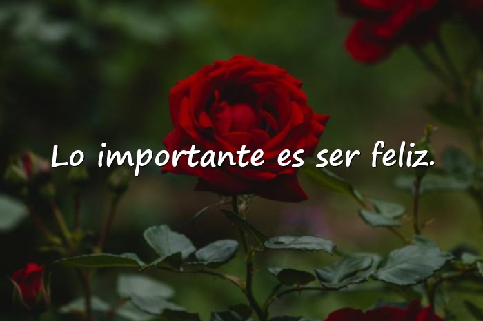 Imágenes frases para la vida - 16