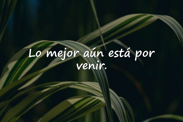 Imágenes frases para la vida - 12