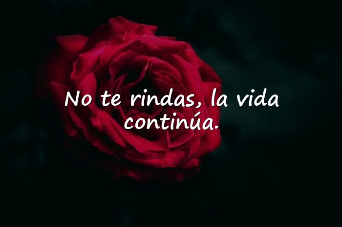 Imágenes frases para la vida - 9
