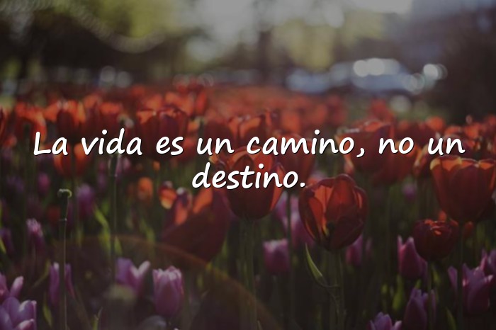 Imágenes frases para la vida - 6