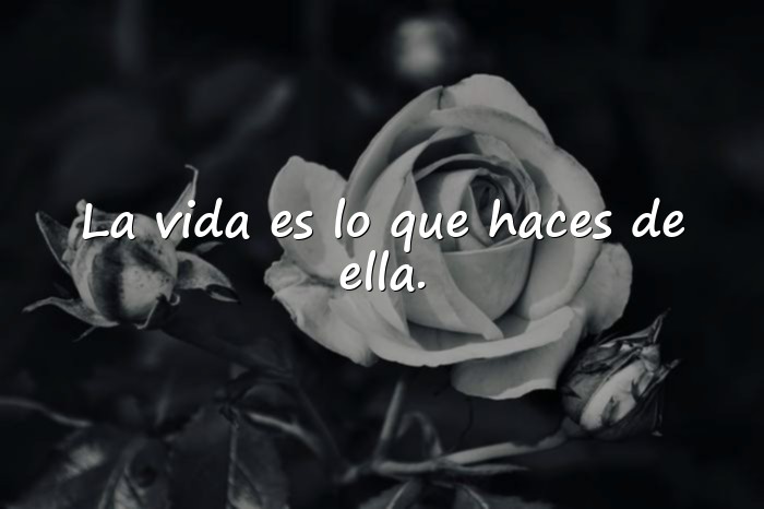 Imágenes frases para la vida - 3
