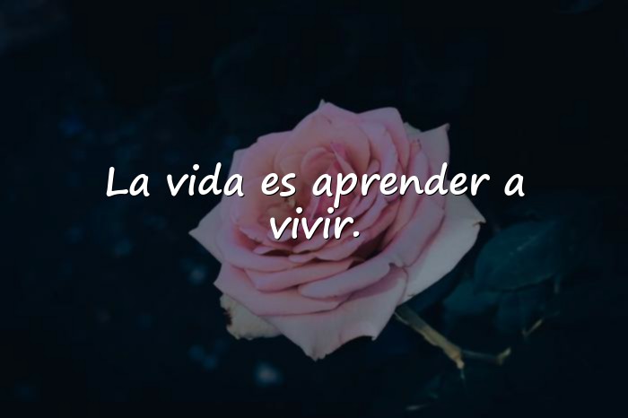 Imágenes frases para la vida - 1