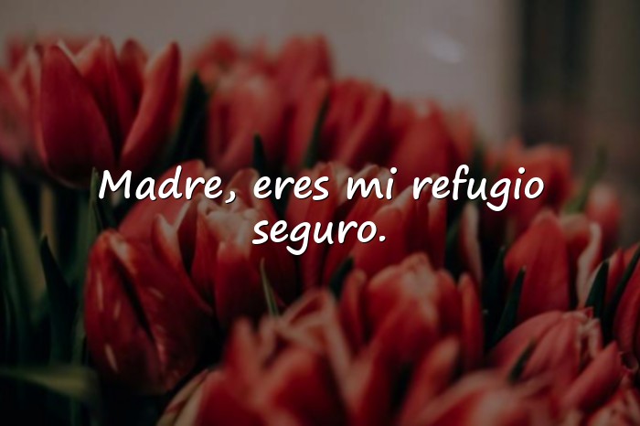 Imágenes frases para las madres - 7