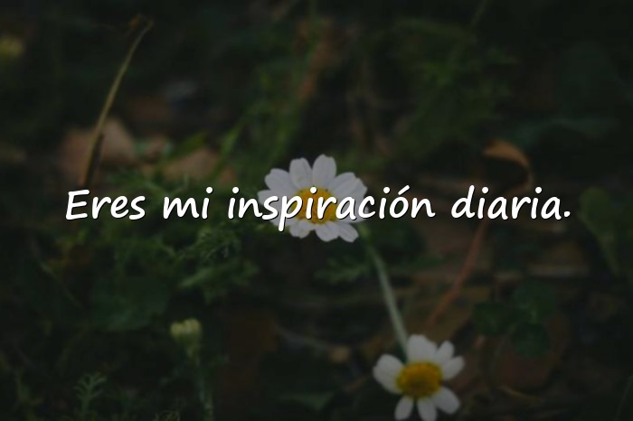 Imágenes frases para las madres - 3