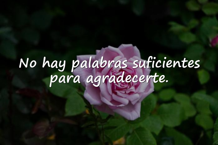 Imágenes frases para las madres - 23