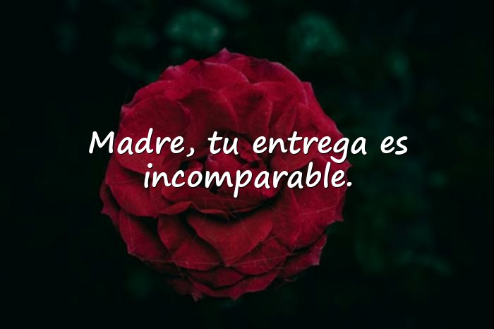 Imágenes frases para las madres - 20