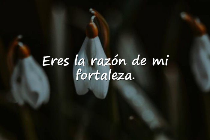 Imágenes frases para las madres - 15