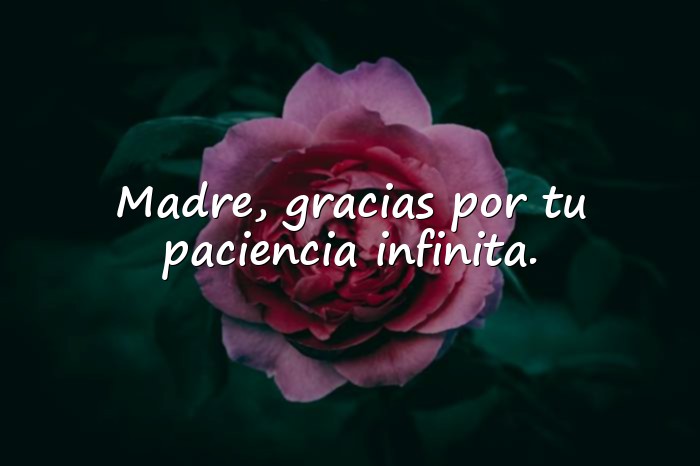 Imágenes frases para las madres - 7