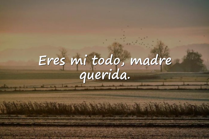 Imágenes frases para las madres - 4