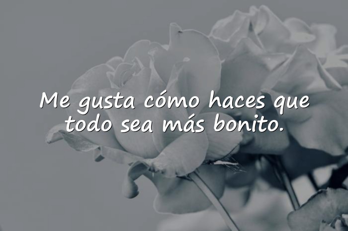 Imágenes frases para ligar - 12