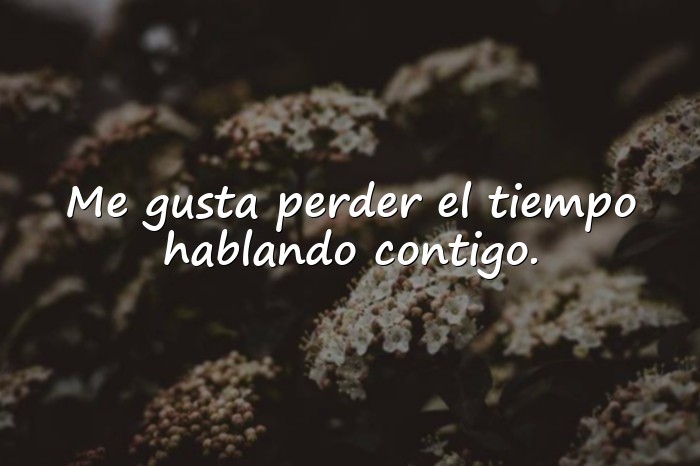 Imágenes frases para ligar - 7