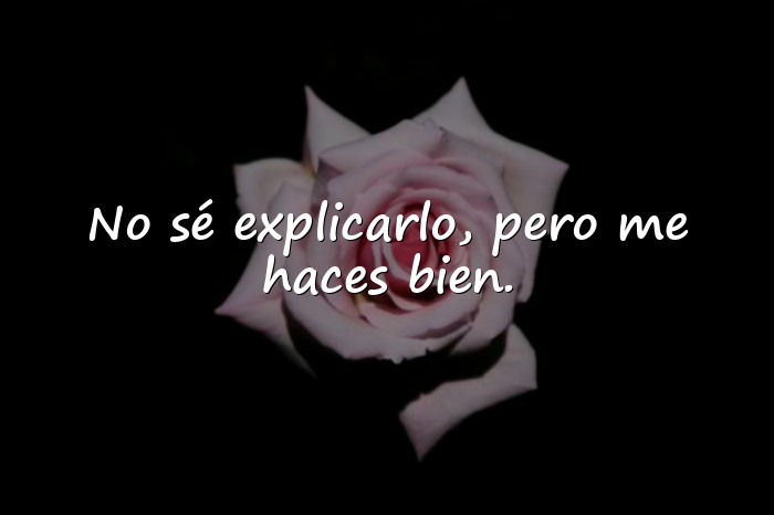 Imágenes frases para ligar - 3
