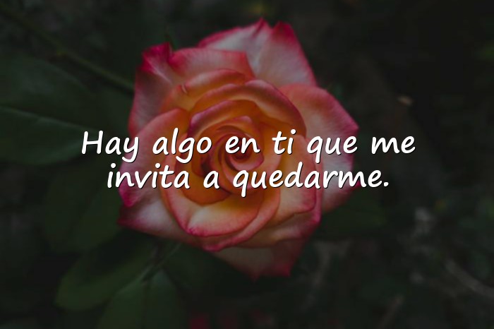 Imágenes frases para ligar - 18